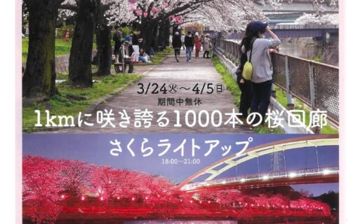 20260324荒子川　さくらまつり①のサムネイル